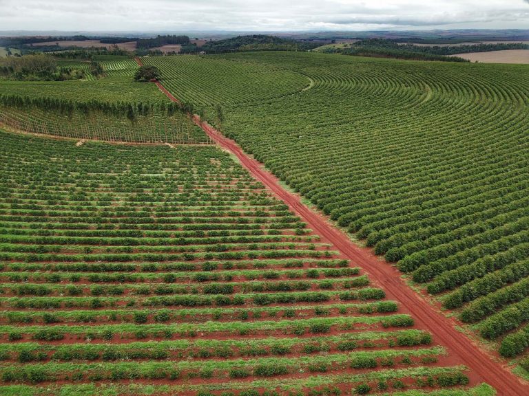Audiência pública avalia plano de produção de fertilizantes do governo